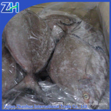 sea frozen black pomfret fish